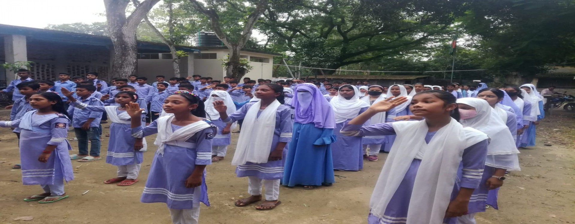 ডেমো ছবি